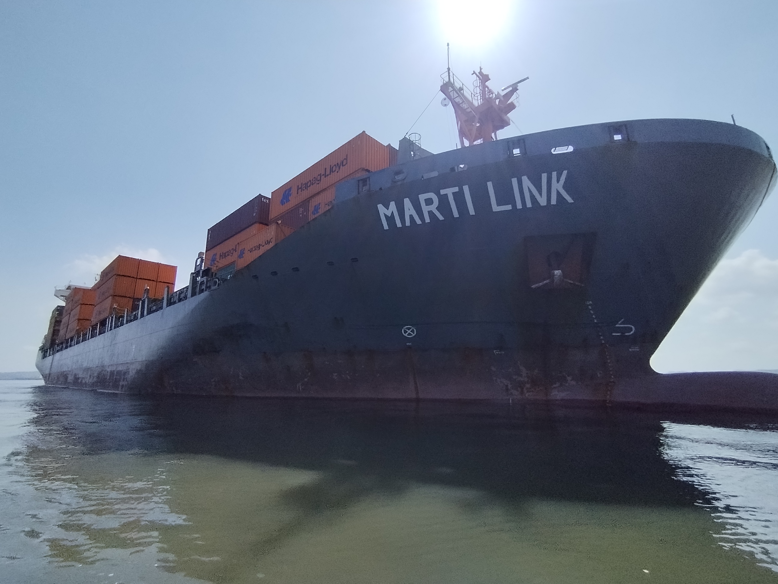 Marti Link